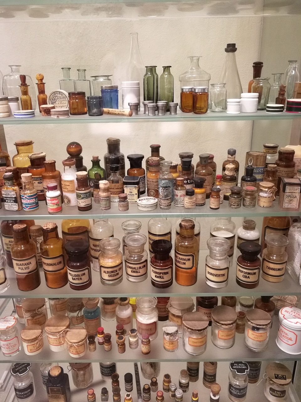 Pharmaziemuseum - Museo della farmacia - 8.JPG